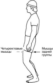 Растяжка для каждого Растяжка для каждого