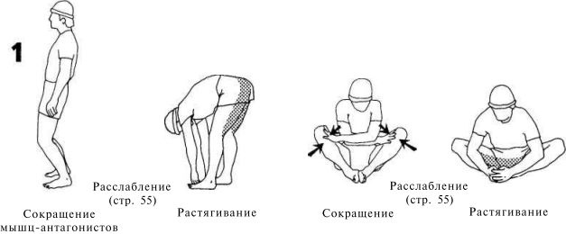 Растяжка для каждого Растяжка для каждого