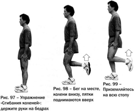 Ци-бег Ци-бег