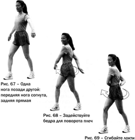 Ци-бег Ци-бег
