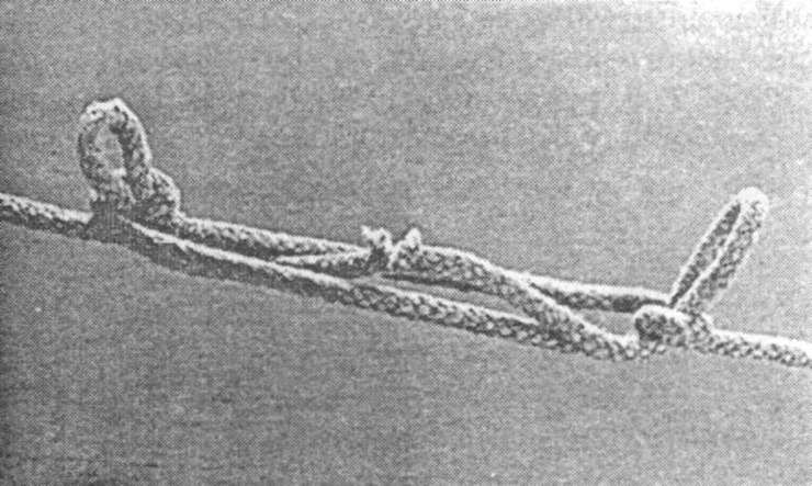 Морские узлы в обиходе Морские узлы в обиходе