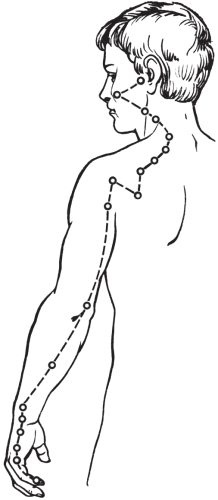 Упражнения цигун для начинающих Упражнения цигун для начинающих