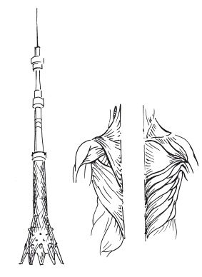 5 минут изометрических упражнений для тех, кто не отрывает попы от стула 5 минут изометрических упражнений для тех, кто не отрывает попы от стула