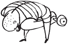 Уникальная система изометрических упражнений Железного Самсона