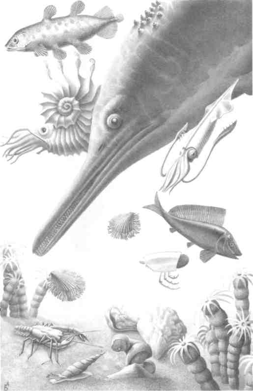 Парнокопытные киты, четырехкрылые динозавры, бегающие черви... Новая палеонтология. Реальность, которая удивительнее фантазий Парнокопытные киты, четырехкрылые динозавры, бегающие черви... Новая палеонтология. Реальность, которая удивительнее фантазий