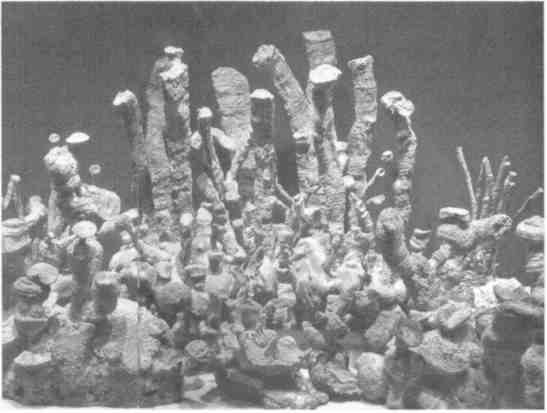 Парнокопытные киты, четырехкрылые динозавры, бегающие черви... Новая палеонтология. Реальность, которая удивительнее фантазий Парнокопытные киты, четырехкрылые динозавры, бегающие черви... Новая палеонтология. Реальность, которая удивительнее фантазий