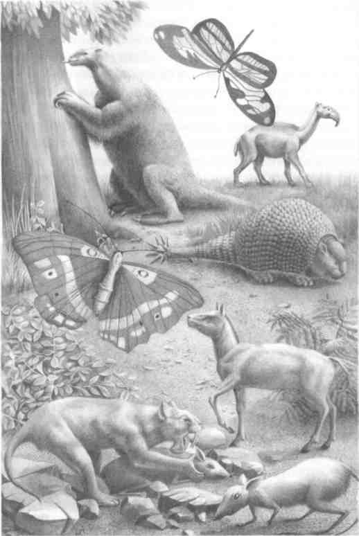 Парнокопытные киты, четырехкрылые динозавры, бегающие черви... Новая палеонтология. Реальность, которая удивительнее фантазий Парнокопытные киты, четырехкрылые динозавры, бегающие черви... Новая палеонтология. Реальность, которая удивительнее фантазий