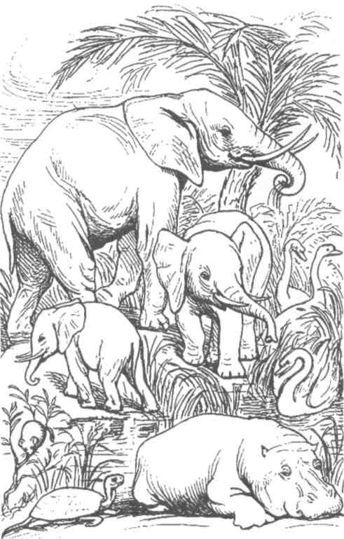 Парнокопытные киты, четырехкрылые динозавры, бегающие черви... Новая палеонтология. Реальность, которая удивительнее фантазий Парнокопытные киты, четырехкрылые динозавры, бегающие черви... Новая палеонтология. Реальность, которая удивительнее фантазий