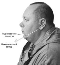 Оздоровительно-боевая система "Белый Медведь" Оздоровительно-боевая система "Белый Медведь"