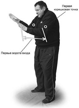 Оздоровительно-боевая система "Белый Медведь" Оздоровительно-боевая система "Белый Медведь"