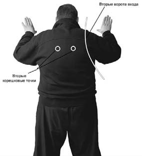 Оздоровительно-боевая система "Белый Медведь" Оздоровительно-боевая система "Белый Медведь"