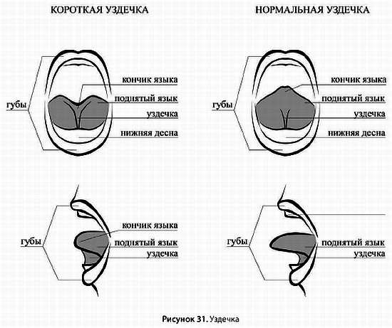 Искусство грудного вскармливания Искусство грудного вскармливания