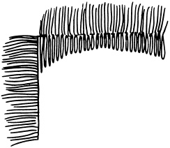 Полная энциклопедия домашнего хозяйства