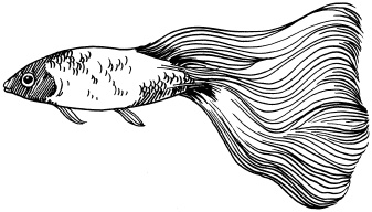 Полная энциклопедия домашнего хозяйства Полная энциклопедия домашнего хозяйства