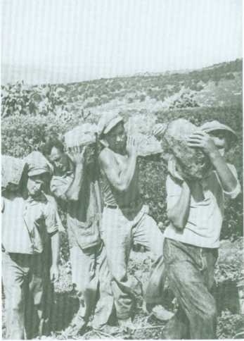 Поколение пустыни. Москва - Вильно - Тель-Авив - Иерусалим Поколение пустыни. Москва - Вильно - Тель-Авив - Иерусалим