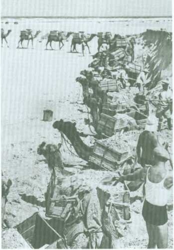 Поколение пустыни. Москва - Вильно - Тель-Авив - Иерусалим Поколение пустыни. Москва - Вильно - Тель-Авив - Иерусалим