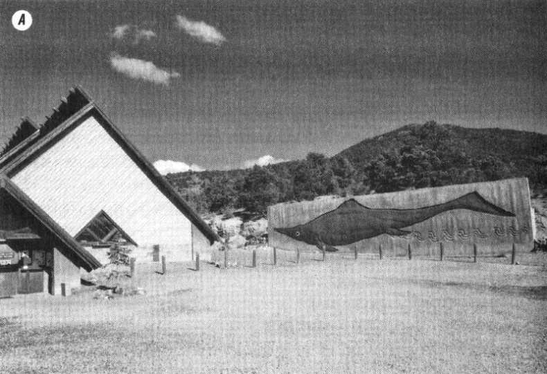 Отпечатки жизни. 25 шагов эволюции и вся история планеты