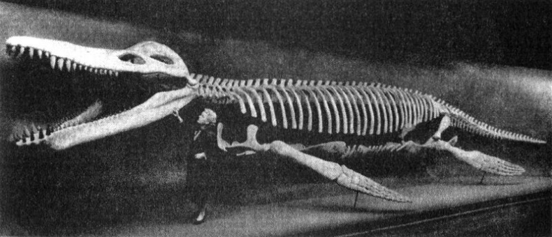 Отпечатки жизни. 25 шагов эволюции и вся история планеты Отпечатки жизни. 25 шагов эволюции и вся история планеты