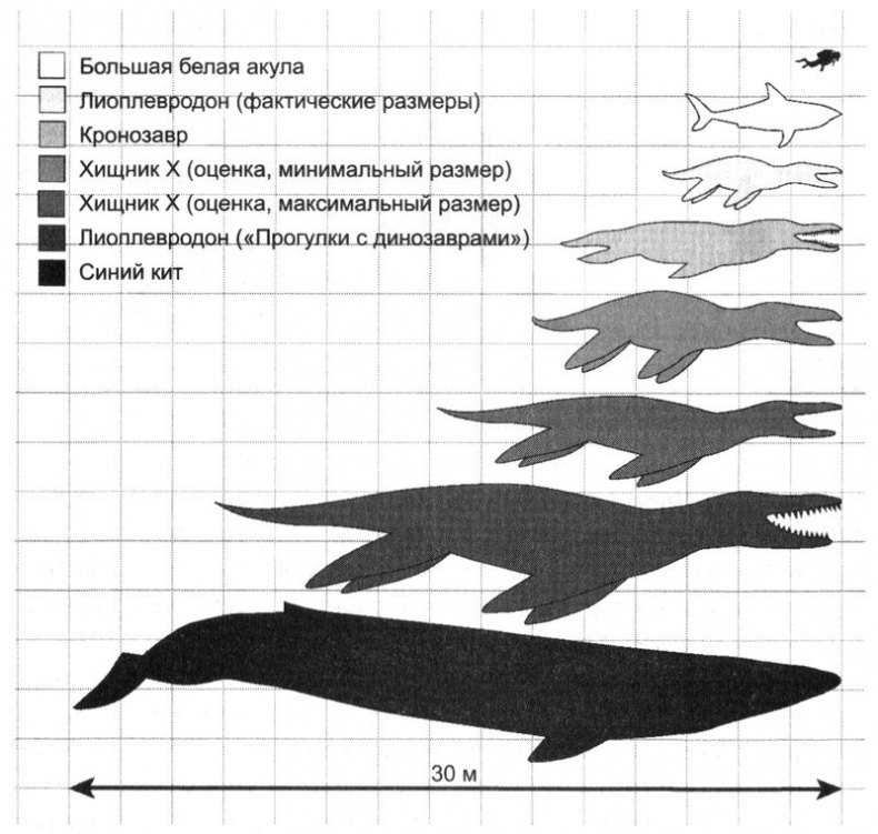 Отпечатки жизни. 25 шагов эволюции и вся история планеты Отпечатки жизни. 25 шагов эволюции и вся история планеты