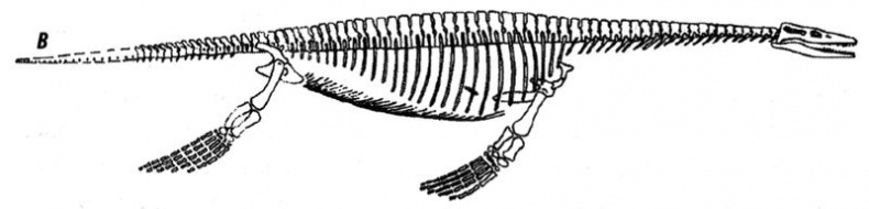 Отпечатки жизни. 25 шагов эволюции и вся история планеты Отпечатки жизни. 25 шагов эволюции и вся история планеты