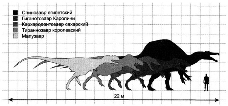 Отпечатки жизни. 25 шагов эволюции и вся история планеты