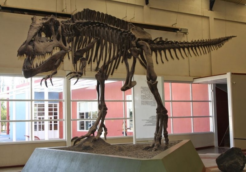 Отпечатки жизни. 25 шагов эволюции и вся история планеты Отпечатки жизни. 25 шагов эволюции и вся история планеты