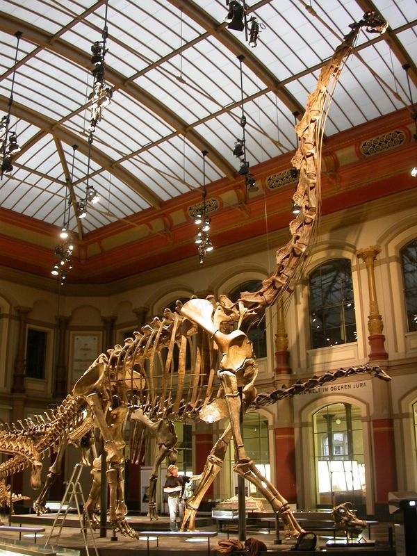 Отпечатки жизни. 25 шагов эволюции и вся история планеты