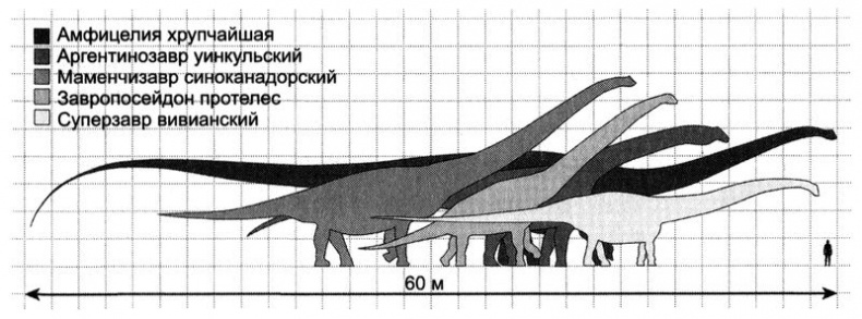 Отпечатки жизни. 25 шагов эволюции и вся история планеты