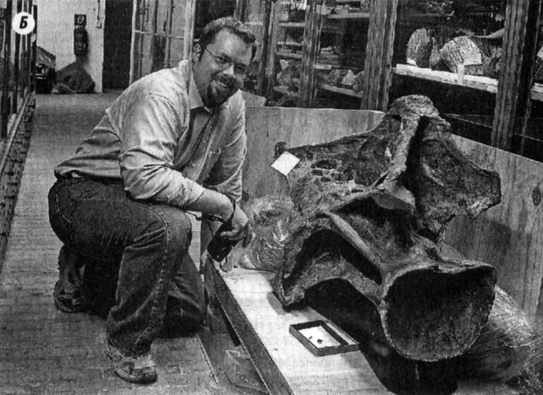 Отпечатки жизни. 25 шагов эволюции и вся история планеты Отпечатки жизни. 25 шагов эволюции и вся история планеты