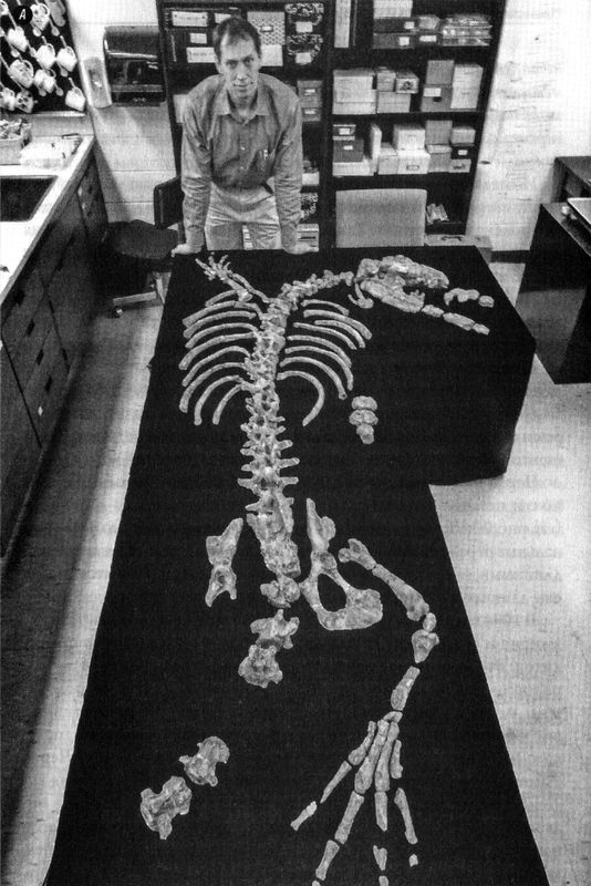 Отпечатки жизни. 25 шагов эволюции и вся история планеты