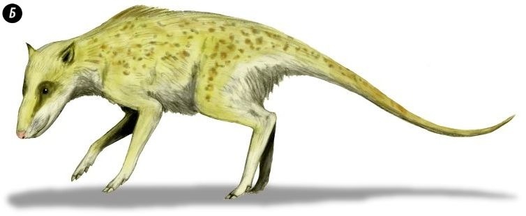 Отпечатки жизни. 25 шагов эволюции и вся история планеты