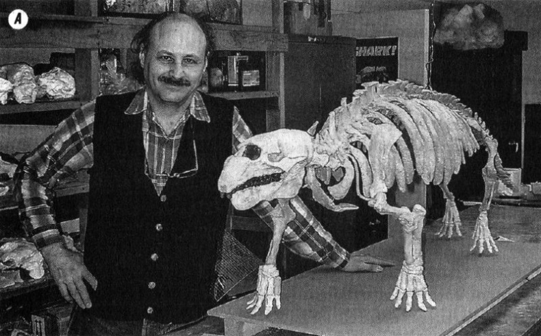 Отпечатки жизни. 25 шагов эволюции и вся история планеты Отпечатки жизни. 25 шагов эволюции и вся история планеты