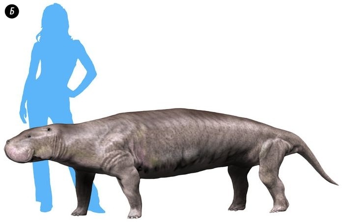 Отпечатки жизни. 25 шагов эволюции и вся история планеты Отпечатки жизни. 25 шагов эволюции и вся история планеты