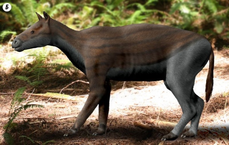 Отпечатки жизни. 25 шагов эволюции и вся история планеты