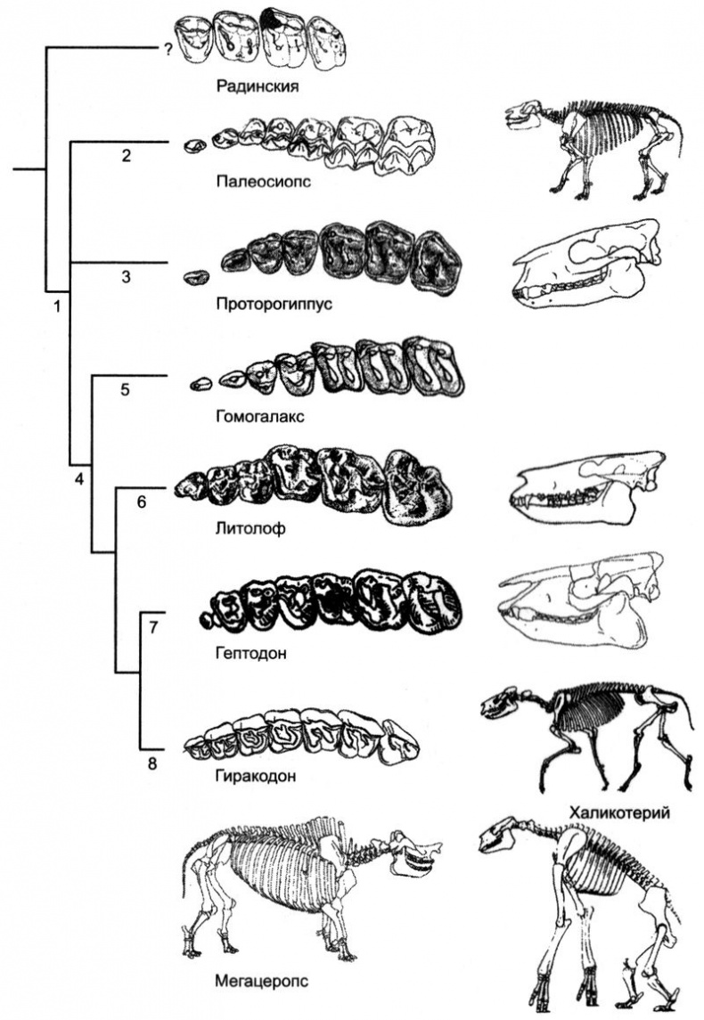 Отпечатки жизни. 25 шагов эволюции и вся история планеты