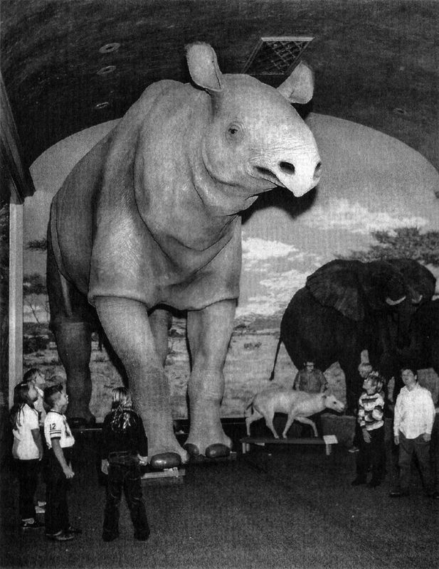 Отпечатки жизни. 25 шагов эволюции и вся история планеты