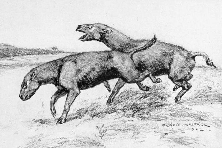 Отпечатки жизни. 25 шагов эволюции и вся история планеты