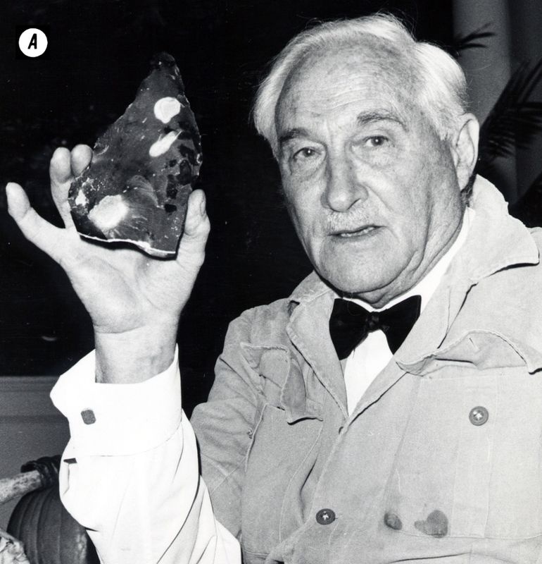 Отпечатки жизни. 25 шагов эволюции и вся история планеты