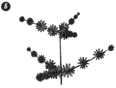 Отпечатки жизни. 25 шагов эволюции и вся история планеты Отпечатки жизни. 25 шагов эволюции и вся история планеты