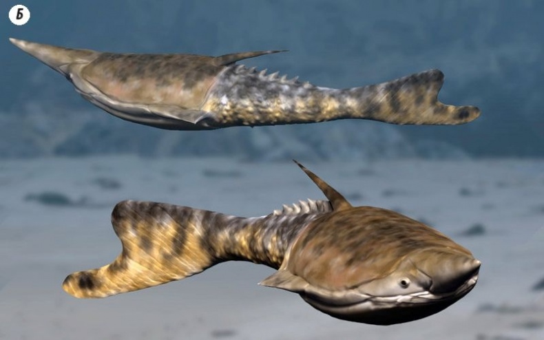 Отпечатки жизни. 25 шагов эволюции и вся история планеты Отпечатки жизни. 25 шагов эволюции и вся история планеты