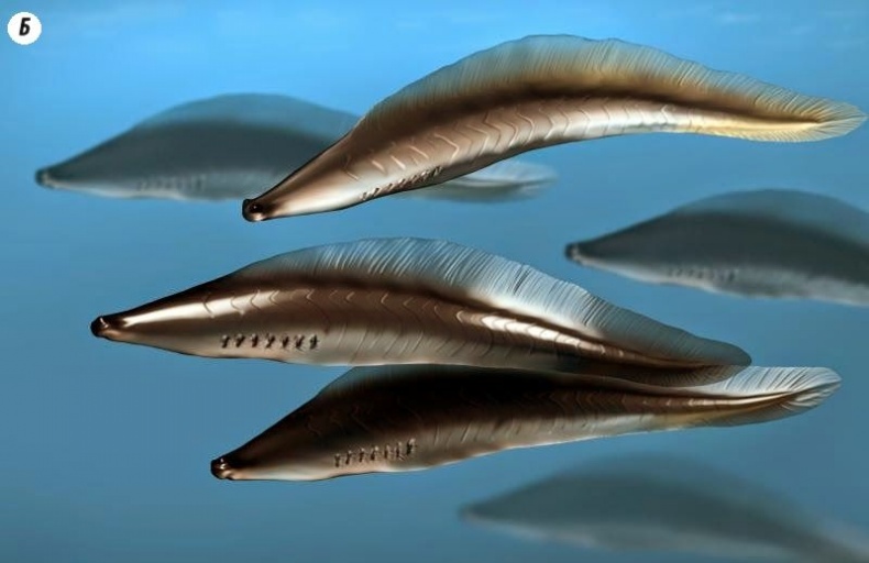 Отпечатки жизни. 25 шагов эволюции и вся история планеты Отпечатки жизни. 25 шагов эволюции и вся история планеты