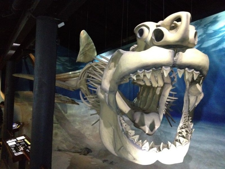 Отпечатки жизни. 25 шагов эволюции и вся история планеты