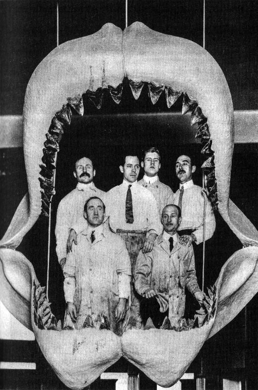 Отпечатки жизни. 25 шагов эволюции и вся история планеты