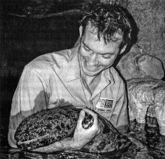 Отпечатки жизни. 25 шагов эволюции и вся история планеты