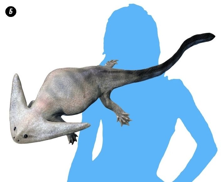 Отпечатки жизни. 25 шагов эволюции и вся история планеты Отпечатки жизни. 25 шагов эволюции и вся история планеты