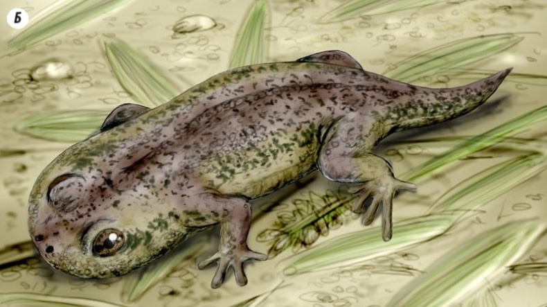 Отпечатки жизни. 25 шагов эволюции и вся история планеты