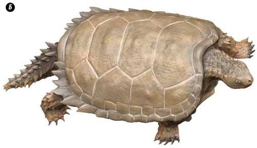 Отпечатки жизни. 25 шагов эволюции и вся история планеты Отпечатки жизни. 25 шагов эволюции и вся история планеты