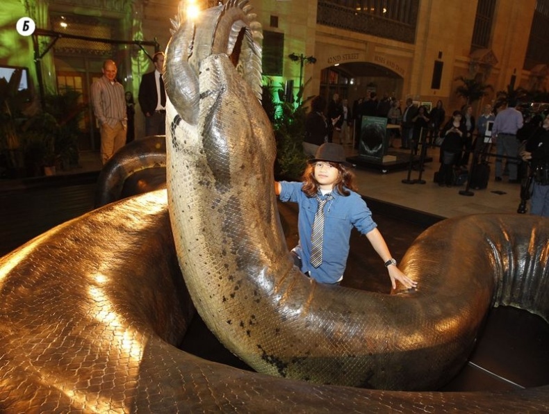 Отпечатки жизни. 25 шагов эволюции и вся история планеты Отпечатки жизни. 25 шагов эволюции и вся история планеты