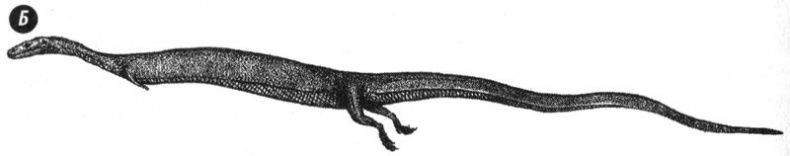 Отпечатки жизни. 25 шагов эволюции и вся история планеты Отпечатки жизни. 25 шагов эволюции и вся история планеты