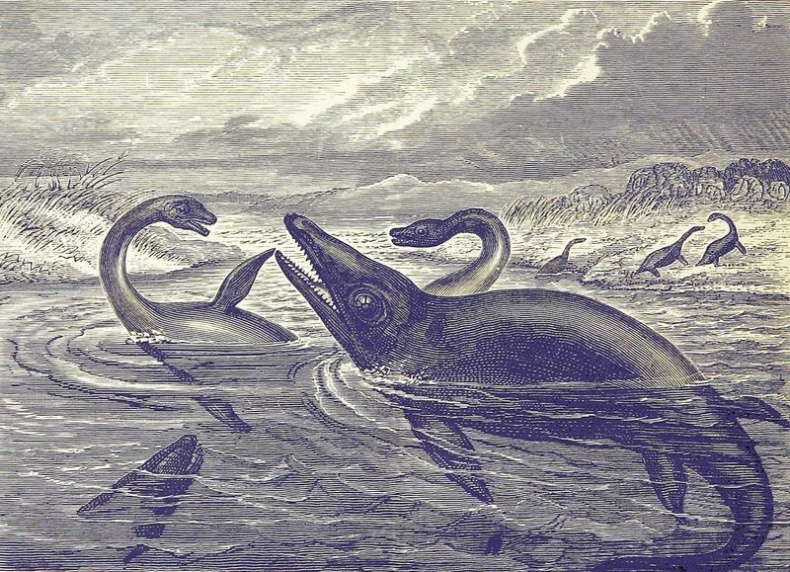 Отпечатки жизни. 25 шагов эволюции и вся история планеты